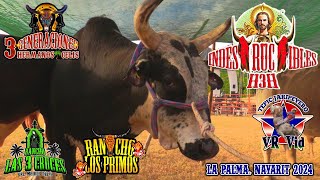 ¡¡¡PURO TORO ESPECTACULAR SON LOS TOROS INDESTRUCTIBLES H3H EN LA PALMA 2024 [upl. by Harp66]