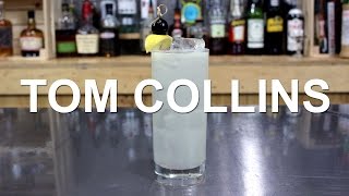 Tom Collins Gin Cocktail Recipe [upl. by Reahard]