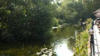 George Butterworth  Banks of Green Willow [upl. by Ahsea]