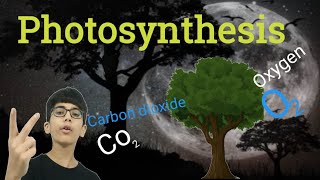 The Secret Relationship Between Photosynthesis and Respiration [upl. by Luigi]