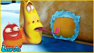 LARVA  JOKING  CARTOON MOVIE FOR LIFE THE BEST OF CARTOON  HILARIOUS CARTOON COMPILATION [upl. by Feldstein]