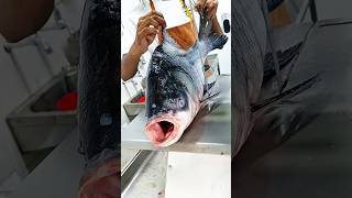 classical giant river catla fish cutting skills video super fresh shorts shortsfeed short [upl. by Nathanson]