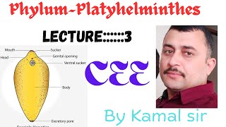 Phylum Platyhelminthes By Nepali teacher Kamal sir lecture—3 Cee Nepal [upl. by Acinoj]