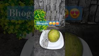 Lets try Sadeko bhogate 🍈🤤😋😍shorts youtubeshorts viralvideo foryou spicyfood [upl. by Sol]