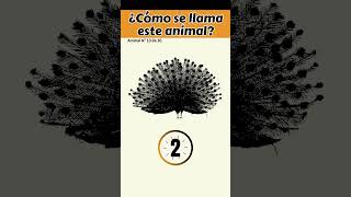 Expertos vs Principiantes ¿Quién adivina el animal en 5 segundos✅10 [upl. by Vanthe508]