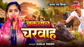 Ujala Yadav का हास्य रस बिरहा  बकलोल चरवाह  Bhojpuri Birha [upl. by Mandle494]