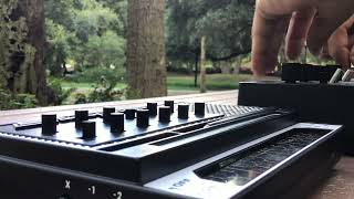 Stylophone X1 processing korg Monotribe at largocentralpark floridaparks synthpatchers [upl. by Nnylaf]