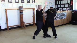 Biu Tze application  M Debus  Wing Chun Kung Fu [upl. by Hayimas]