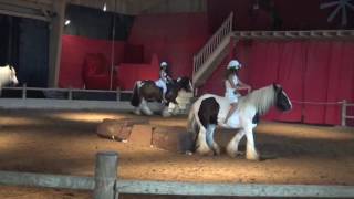 FIRFOL 2016 Examen du Brevet Fédéral Spectacle Equestre [upl. by Arbed]