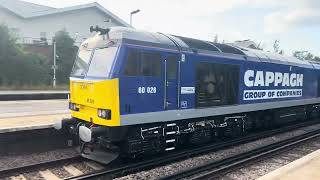 Cappagh Capital Campaigner 60055  60028 1Z53 Hove to Derby  Horley Surrey 3rd August 2024 [upl. by Fey596]