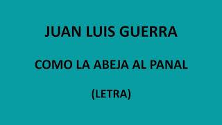 Juan Luis Guerra  Como la abeja al panal LetraLyrics [upl. by Eliza]