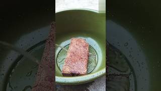 How to use Cocopeat brickgardening cocopeat viralvideos trail ytshorts [upl. by Notsnhoj]