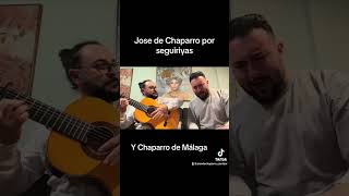 Jose de Chaparro seguiriyas en la casa [upl. by Fauch441]