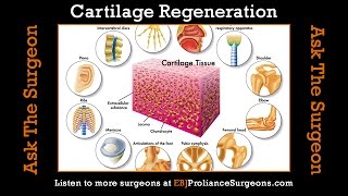 Cartilage Regeneration [upl. by Aimas]