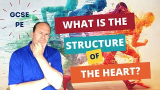 GCSE PE What is the Structure of the Heart [upl. by Saul]