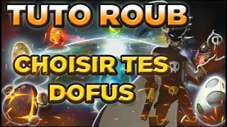 TUTO ROUBLARD  QUELS DOFUS CHOISIR [upl. by Ahsimrac]