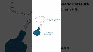 Alveolar Pressure Quick Explanation [upl. by Almena281]