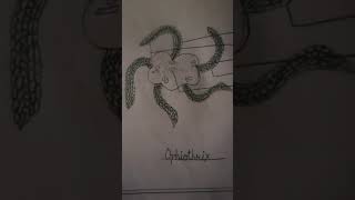 Echinodermata phylum ke all animals attractive diagrams [upl. by Nyliret]