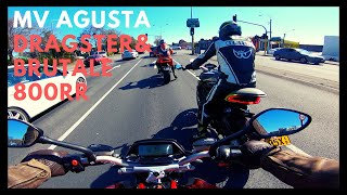 MV Agusta Brutale 800 RR amp Dragster 800 RR Experience [upl. by Yeliac]