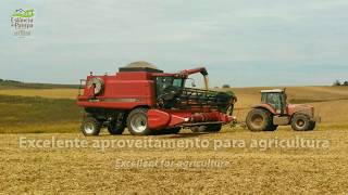 Fazenda a venda no RS com 2500 ha  Farm for Sale in Brazil with 6100 acres [upl. by Nahpos66]