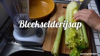 BLEEKSELDERIJSAP MAKEN IN DE BLENDER [upl. by Noma]