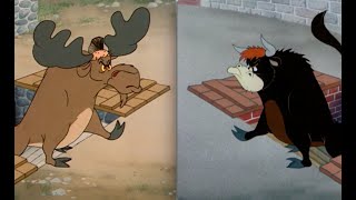 Which Is Better 28  Homesteader Droopy vs Senor Droopy [upl. by Aigil]