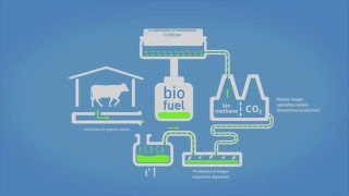 NeoZeo biogas upgrading module for biomethane production  schematic process [upl. by Jeddy]