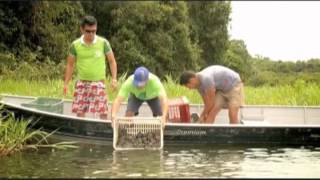 Mudanças climáticas e pesca predatória alteram paisagem natural do Tabuleiro do Embaubal [upl. by Llatsyrc883]