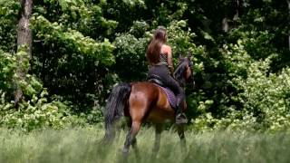 Back view girl rides a horse in the forest  Stock video footage [upl. by Wilhelmina]