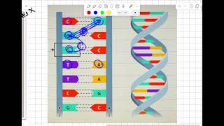 Organic Antineoplastic agentsantimetabolite [upl. by Tija573]