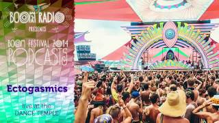 Ectogasmics  Dance Temple 11  Boom Festival 2014 [upl. by Prober]