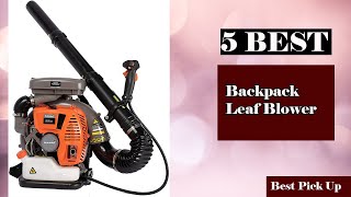 5 Best Backpack Leaf Blower Newest 2021 [upl. by Aihsekin30]