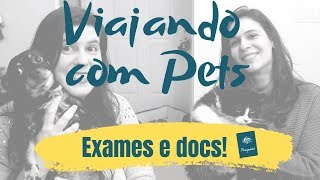 VIAGEM internacional com cachorro e gato 1  Exames e Documentos [upl. by Yellac]