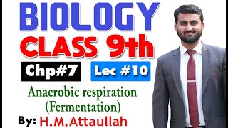 Anaerobic respiration fermentation  Smart syllabus  Chapter 7  9th class Biology ALP Lec 10 [upl. by Asial585]