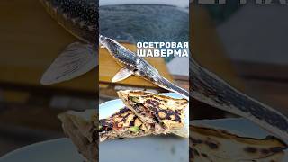 ШАВЕРМА из СЕВРЮГИ Рыбная шаурма с осетровым мясом из своего пруда [upl. by Obau]