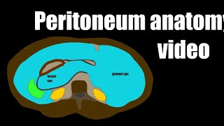 Peritoneum anatomy video [upl. by Androw]