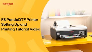 Procolored F8 Panda DTF Printer Setting Up and Printing Tutorial Video [upl. by Nylemaj]