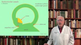 Lecture 3 The Vestibular System Structure Function and Dysfunction [upl. by Romo]