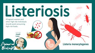 Listeriosis Listeria Monocytogenes  Sources Pathophysiology Symptoms Diagnosis Treatment [upl. by Shulman]