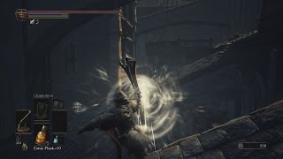 Dark Souls 3  The Catedral Patrol and a Hatemail [upl. by Ennazus]