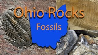 Ohio Rocks Fossils [upl. by Anirdua]