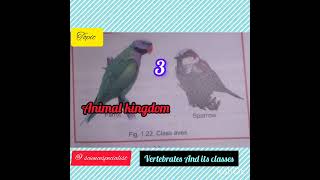 Animal kingdom and its types classes of vertebratesbasic scienceScienceSpecialist [upl. by Helbonia]