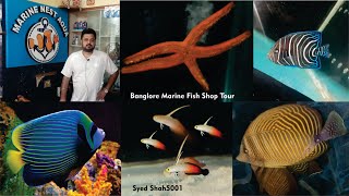 Marine fish Aquarium shop  saltwater fishes at Marine Aqua Nest Bangalore [upl. by Erehc]