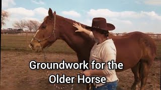 Ground work for the older horse [upl. by Anrol]