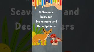 Scavengers and decomposers education science environment animals microorganisms study biology [upl. by Maxima228]