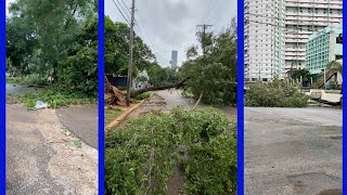 Así está la zona del Vedado tras el paso del huracán Rafael [upl. by Olwen]