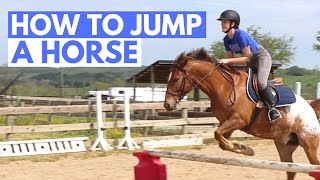 HOW TO JUMP A HORSE easy beginner guide [upl. by Leizar]