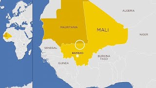 Malian authorities vow to investigate murder of several Mauritanians in its territory [upl. by Land]