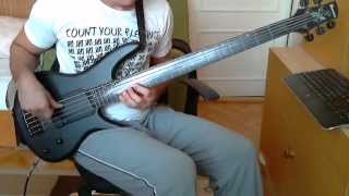 Obscura  Incarnated  Fretless bass cover [upl. by Voleta]