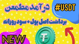 با هر مبلغی شروع کنی 3 روزه اصل پولت میگرده  new best platform [upl. by Strauss]